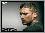 Wentworth Miller, niebieskie oczy